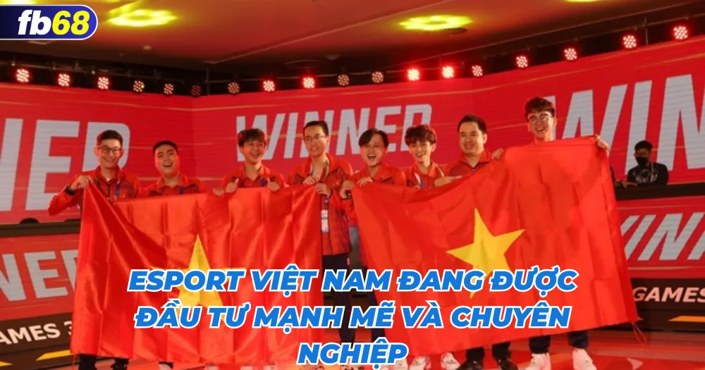  Esport Việt Nam đang được đầu tư mạnh mẽ và chuyên nghiệp